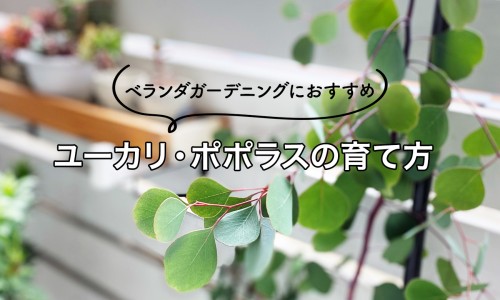 体表脂肪多内脏脂肪少的原因-体表脂肪多内脏脂肪少-专业内脏脂肪越少越好吗平台-内脏脂肪多是不是不觉得饿